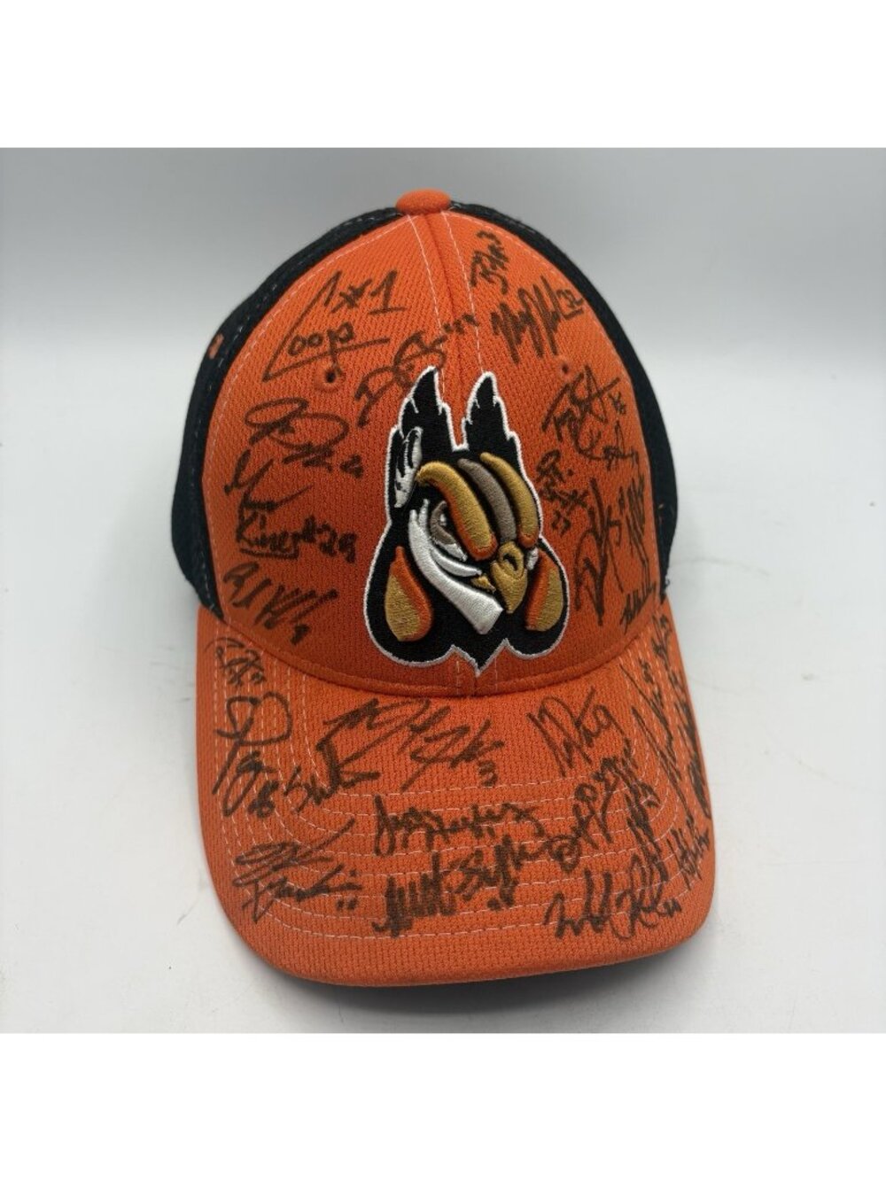 Zephyr Fitted Team Signed Autograph Hat Rooster Gamecock Mascot Size 7 1/4